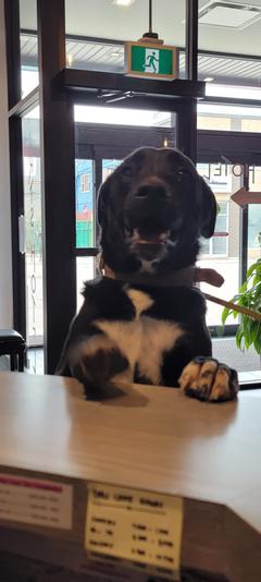 The Arts Hotel | Charlottetown | Photo Gallery 51